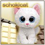 schokicat.jpg