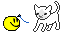 catplay.gif